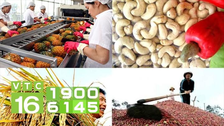 Hotspot Matrix và Nghiên Cứu: Người Phụ Nữ Không Ngủ 40 Năm