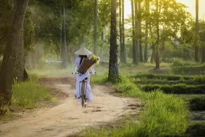Mỹ Tâm: Họa mi tóc nâu và mối quan hệ với học trò