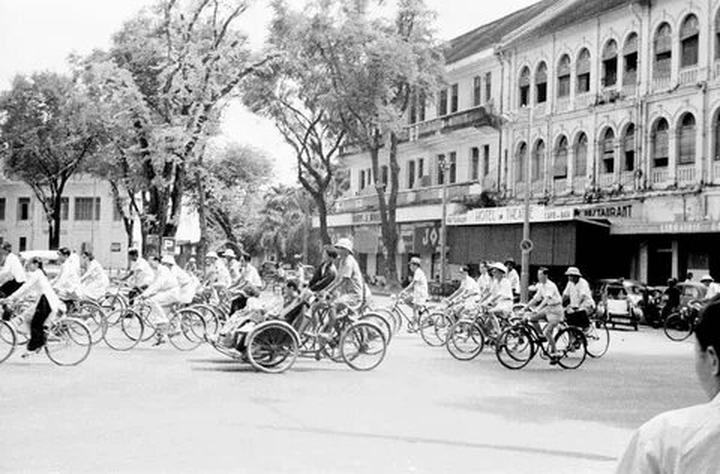 Kích thước to bất thường: Tôm nuôi theo phương pháp tự nhiên sẽ có kích thước không