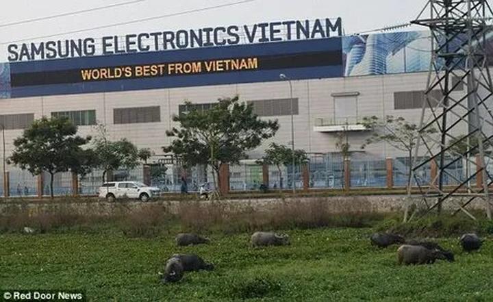 Hotspot Matrix: Cơ hội nghề nghiệp vàng trong ngành video ngắn